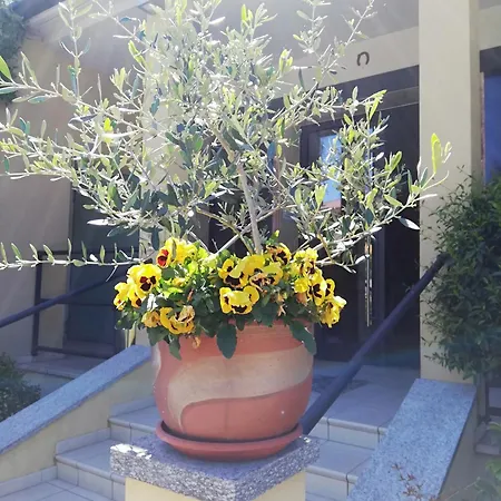 Ξενοδοχείο Fioroni Μπελάτζιο